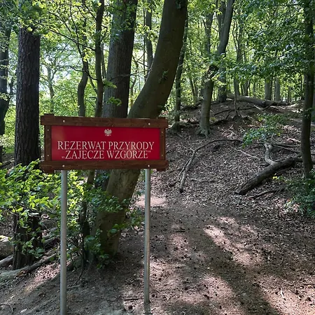 3-pokojowy Z Tarasem W Willi, 95m2 Appartement Sopot