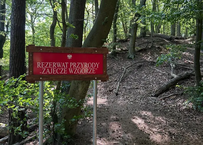 3-pokojowy Z Tarasem W Willi, 95m2 Apartment Zoppot